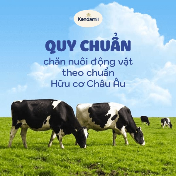 bao-ve-moi-truong-su-menh-cua-kendamil-4